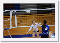 vs Seaman * (360 Slides)